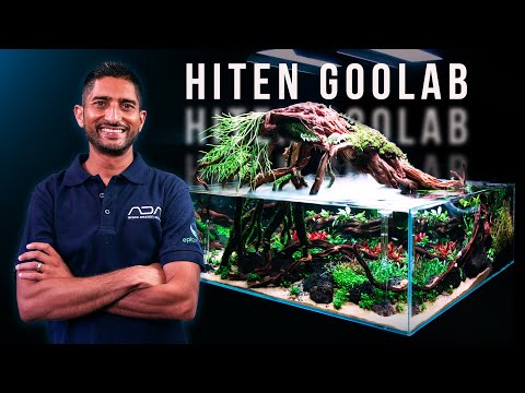 Видео: ЗАВОРАЖИВАЮЩИЙ акваскейп с ивами в аквариуме на 360° | МАСТЕР-КЛАСС HITEN GOOLAB