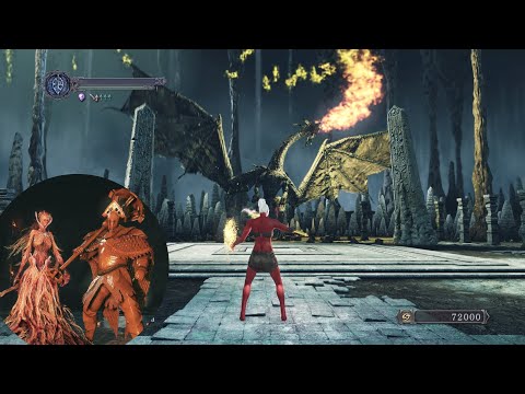 Видео: Королева Элана и дракон Син подряд без урона. Класс Нищий (1 уровень). Dark Souls 2.