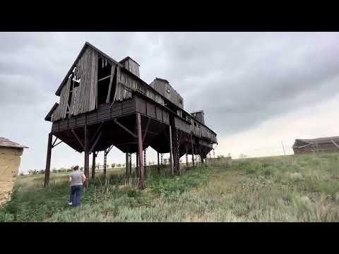Видео: На зерновом току . Оренбургская область. Беляевский район.