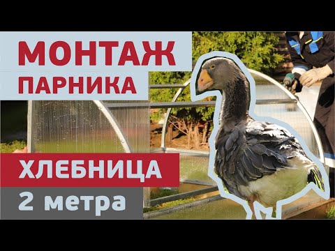 Видео: Парник Хлебница / инструкция по Сборке