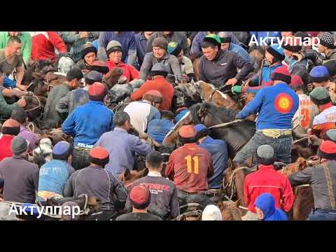 Видео: Улактын кайнаган жеринен 10 ноября 2025 #аламанулак 