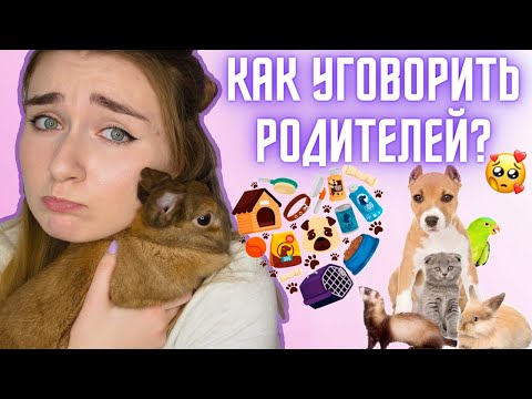 Видео: КАК УГОВОРИТЬ РОДИТЕЛЕЙ КУПИТЬ ПИТОМЦА? Кошку Собаку Крысу Хомяка / ЛАЙФХАКИ КАК УГОВОРИТЬ РОДИТЕЛЕЙ