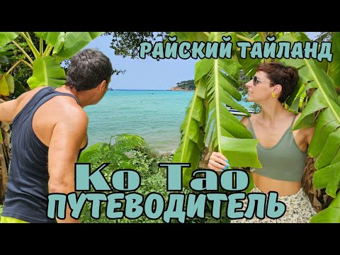 Видео: Остров мечты Ко Тао! Акулы в Сиамском заливе Тайланда! Ко Лан, Ко Чанг и Панган отдыхают!