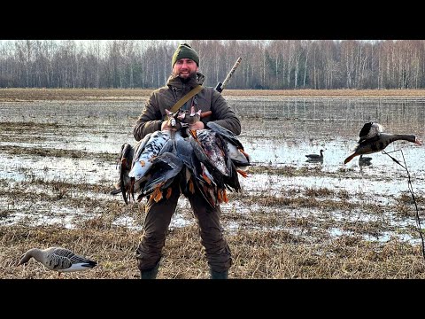 Видео: Охота на гуся, вот это результат )))