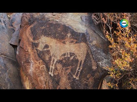 Видео: Урочище Тамгалы: кого изображали на петроглифах?