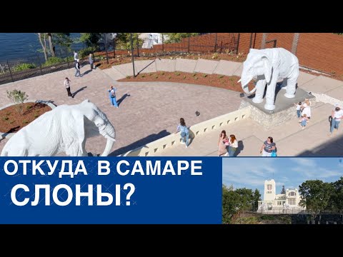 Видео: Слоны в Самаре. Дача Головкиных