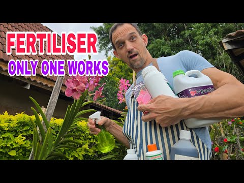 Видео: Какое удобрение для орхидей лучше?  Секрет эксперта по выбору удобрения для орхидей