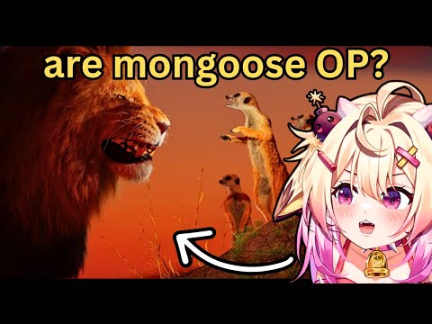 Видео: Мангусты — OP? rosiebellmoo реагирует на TierZoo
