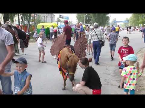 Видео: Дыхание праздника! Нюксеница 2022_2