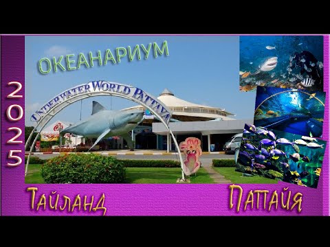 Видео: Тайланд/Паттайя 2025/ Океанариум Underwater World Pattaya........................