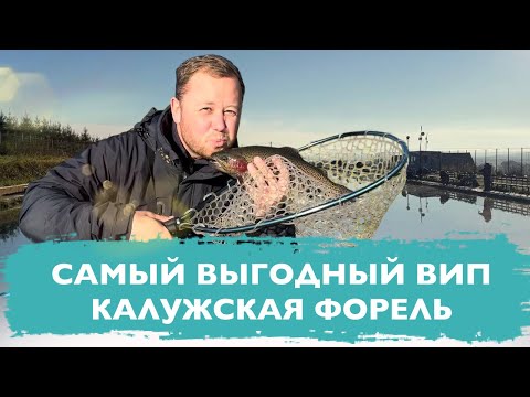 Видео: #22 ПРОСТО ОПУСТИЛ БЛЕСНУ НА ДНО. КЛЕВ КАК ИЗ ПУЛЕМЕТА. ЛОВИМ ФОРЕЛЬ В КАЛУЖСКОЙ ОБЛАСТИ НА ПЛАТНИКЕ