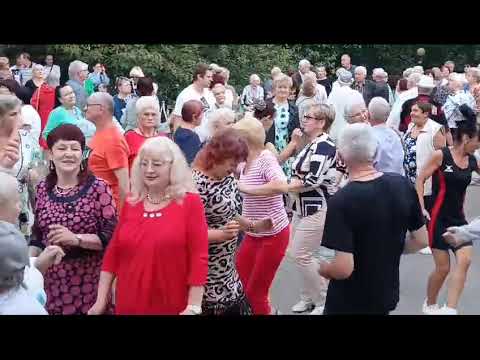 Видео: Букет рябины...........21.09.24 Гомель парк Луначарского 🥰