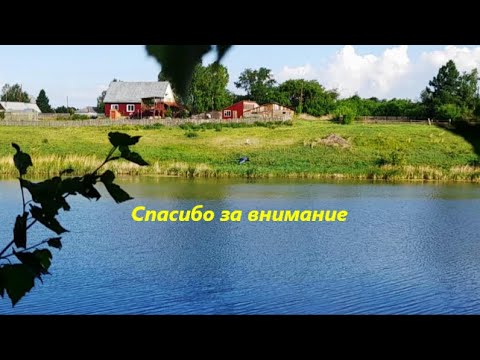 Видео: У реки два берега,с.Боровое Крутихинского района.