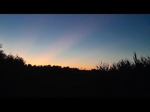 Видео: На город як на екскурсію))буряки,гарбузи та моркву ще рано прибирати.