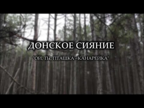 Видео: Донское сияние - Ой, ты, пташка-канарейка