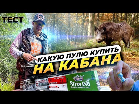 Видео: Какую пулю купить на кабана. Обзор и тест лучших пуль 12 калибра. Подготовка к охоте на кабана.