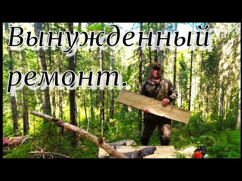 Видео: Дошел до ближней избы медведь похозяйничал требуется ремонт не хватило масла для пилы в тайге +28