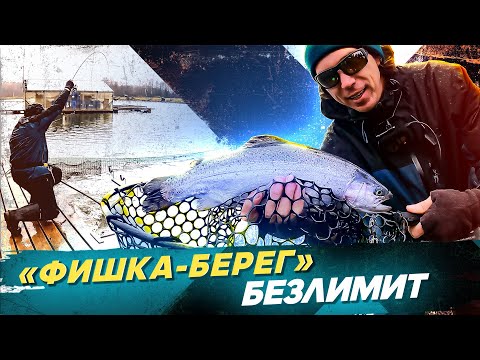 Видео: Безлимит Фишка-берег. Ловля форели на спиннинг. Рыбалка с #OnlySpin