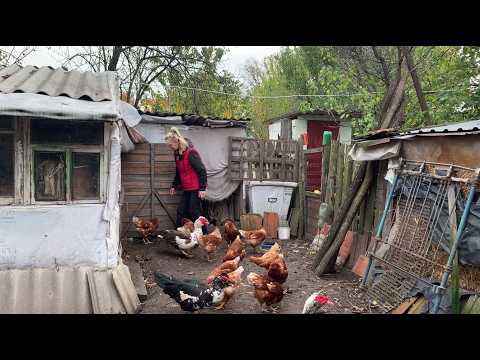 Видео: 💔 БРОСИТЬ ЖИВОТНЫХ, Я ТАК НЕ МОГУ | Живу на краю села