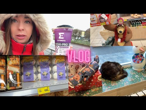 Видео: 🇪🇪🇷🇺Граница Эстония – Нарва | Очередь на границе и покупки в Ивангороде 🇷🇺🛍️