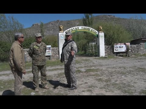Видео: Заповедники Казахстана. Каратау