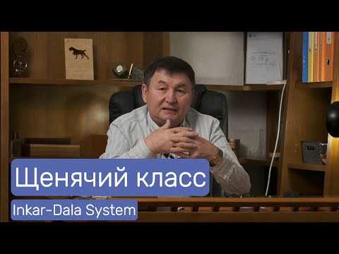 Видео: Щенячий класс 1 этап