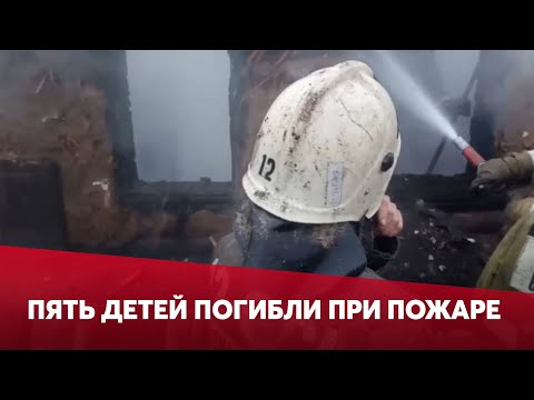 Видео: Гибель 5 детей в Житикаринском районе: начато расследование