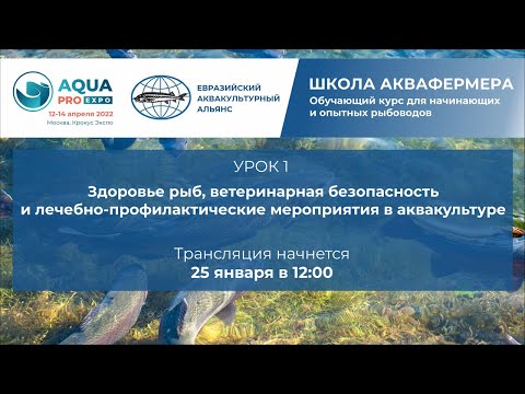 Видео: Здоровье рыб, ветеринарная безопасность и лечебно-профилактические мероприятия в аквакультуре