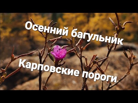 Видео: Карповские пороги