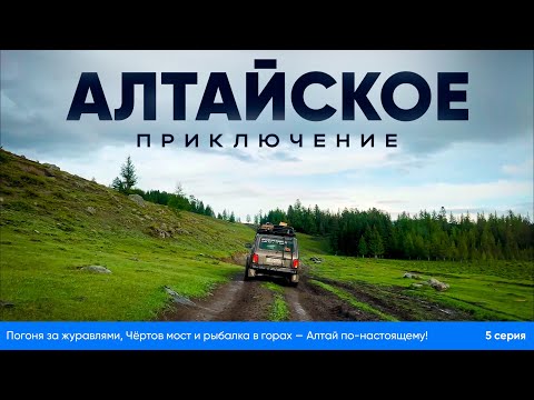 Видео: 🚗🏔  Погоня за журавлями, Чёртов мост и рыбалка в горах — Алтай по-настоящему!