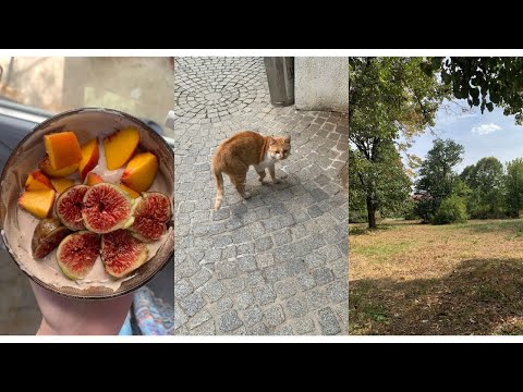 Видео: Животът в малкия град