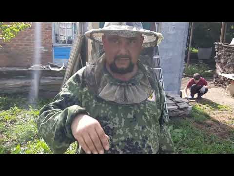 Видео: Разгар сезона:Матки,Отводки и Микронуклеусы!!!!Подготовка к Откачке Мёда!!!!