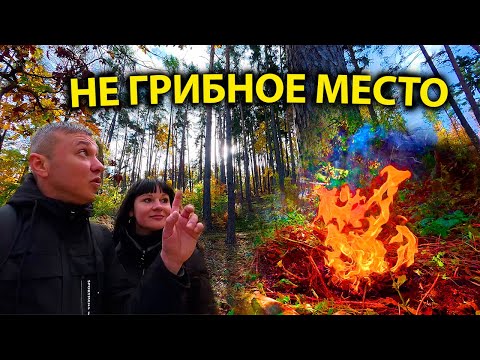 Видео: Осенний поход за грибами превратился в пикник у воды