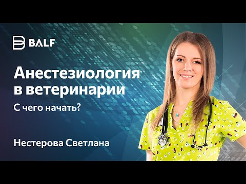 Видео: Анестезиология в ветеринарии. С чего начать?