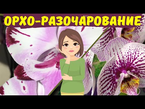 Видео: Орхидейный обман всех видов! («Орхо-пересорт» и другие разочарования)