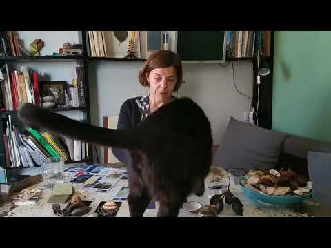 Видео: 🔥 ЛЮБОВНЫЙ ТРЕУГОЛЬНИК. Гадание таро онлайн