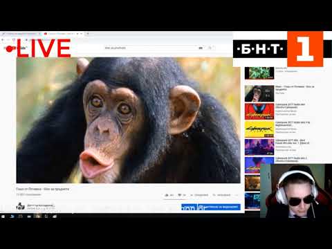 Видео: MeLeBron : Ревю и Анализ на "Гошо от Почивка - Diss за Пръднята"