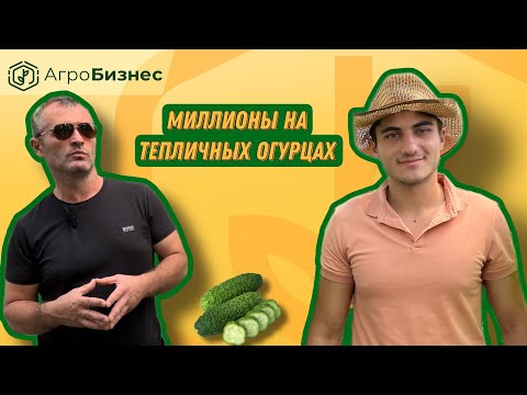 Видео: Тепличные огурцы/ Можно ли на них заработать ? / Разбор бизнеса.