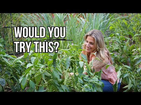 Видео: Странные вещи, которые я делаю в саду, и которые действительно работают