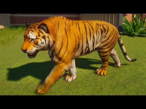 Видео: Симулятор ЗООПАРКА #1 Медведь, Рысь, Лев, Кабан, Страус, Тигр, Павлин - пурумчата