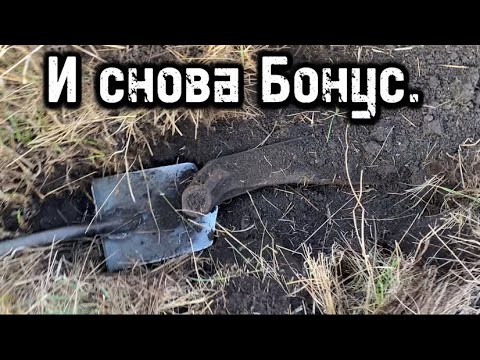 Видео: Как вам Такое Выбитое Место? С такими Находками! «Коп металла!