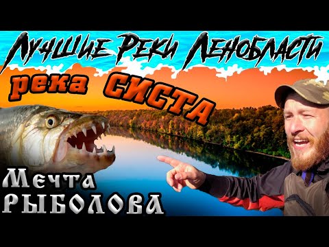 Видео: 💦 Сплав по реке Систа / Обзор маршрута / Разрушенная Плотина и Рыбные места / КОПОРЬЕ