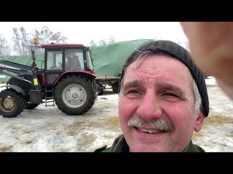Видео: Сравниваем растениеводство и животноводство