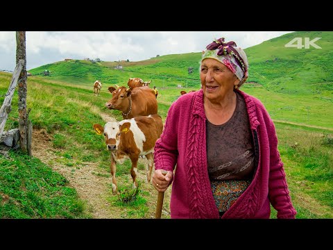 Видео: Яйладжи Мать и дочери | Документальный фильм