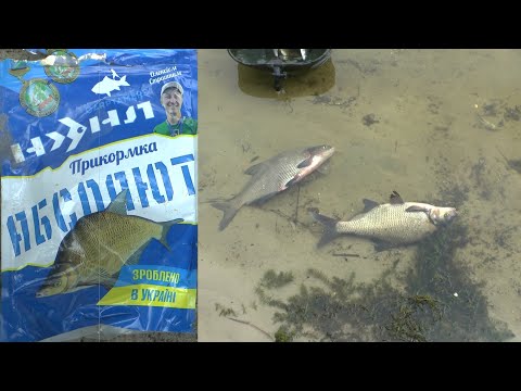 Видео: На ЛЯЩА 🎣 з Новою Прикормкою NHNL Абсолют❗ Варимо смачнющу Юхуууу.... 🧖‍♀️