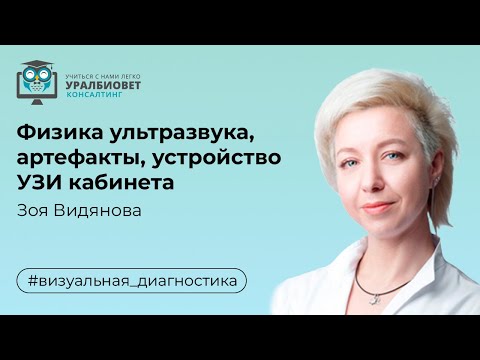 Видео: Физика ультразвука, артефакты, устройство УЗИ кабинета. Лектор Зоя Видянова
