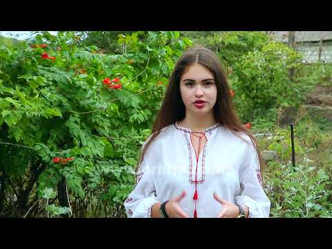 Видео: Джерела (с. Муравка) 26.09.2017 (HD)