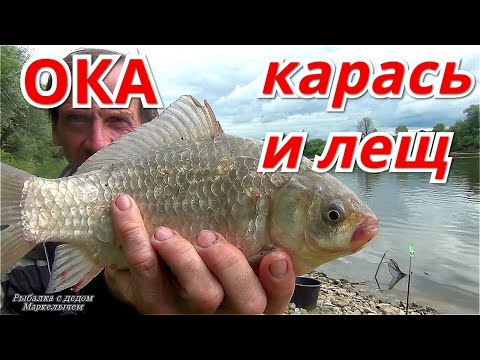 Видео: Рыбалка на ПЕНОПЛАСТ и САЛО на ОКЕ. Донка против фидера. Речной карась и лещ.