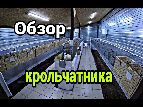 Видео: Новый крольчатник. Обзор крольчатника. Каркасный крольчатник ч.18