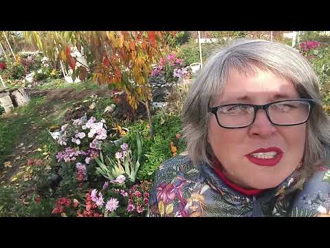 Видео: 🍂Настав час для знайомства! Барви осені! Дніпро🍁